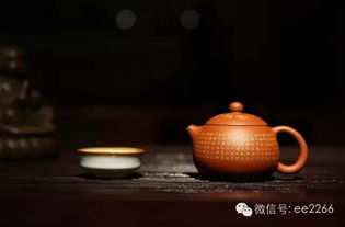 紫砂艺术 为何未经泡养是壶之本真？